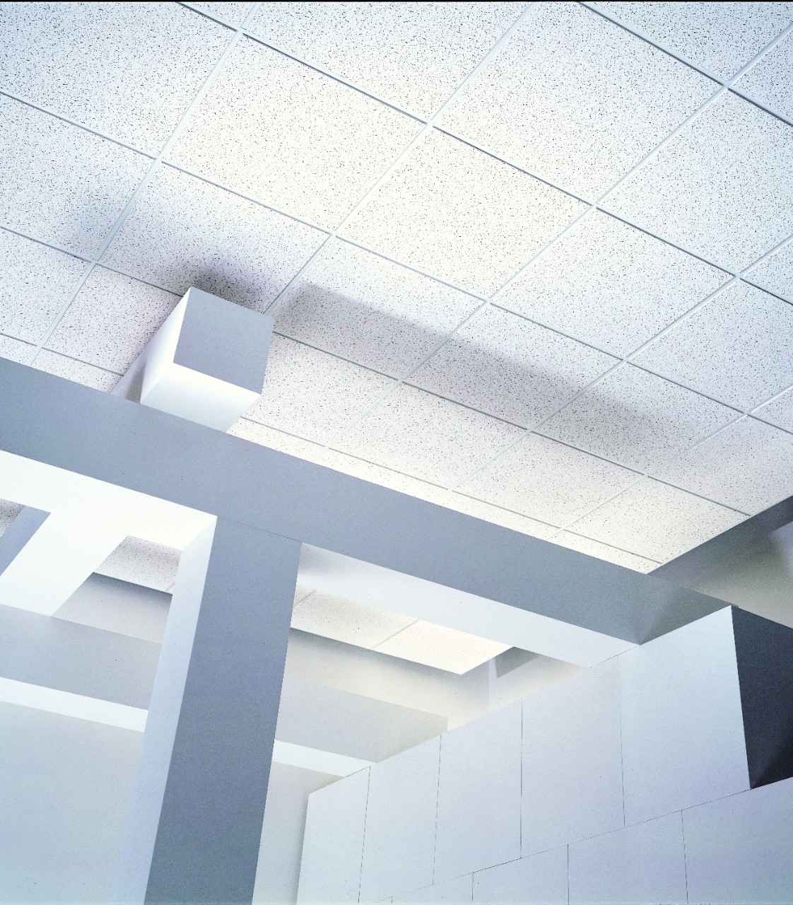 USG Fissured™ Basic Acoustical Ceiling Panels